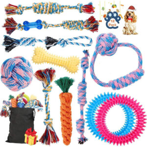 Monthly Subscription Package - Pack Bag with 12 Dog Toys